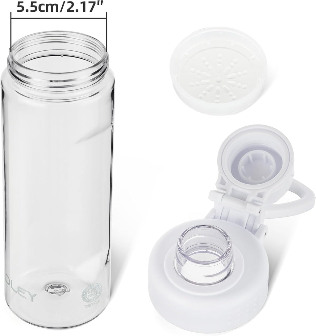 OLDLEY Water Bottles 20oz BPA Free Tritan Water Bottle with Carry Handle and Spout Lid, Leakproof Kids Water Bottle for Home,Travel, School, Outdoors, Transparent